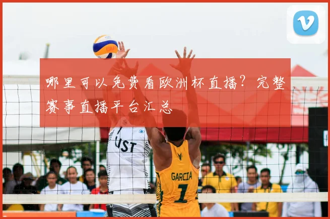 哪里可以免费看欧洲杯直播？完整赛事直播平台汇总