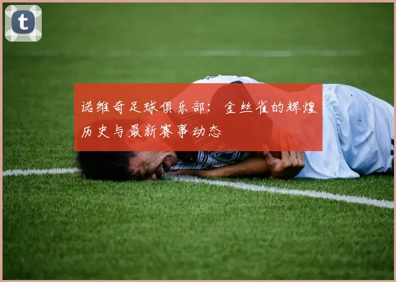 诺维奇足球俱乐部：金丝雀的辉煌历史与最新赛事动态