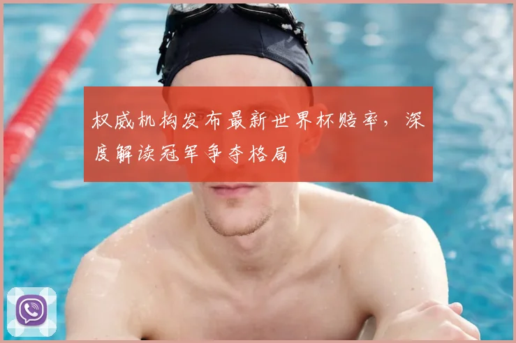 权威机构发布最新世界杯赔率，深度解读冠军争夺格局