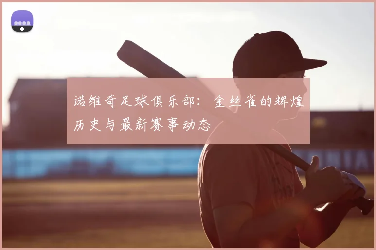 诺维奇足球俱乐部：金丝雀的辉煌历史与最新赛事动态