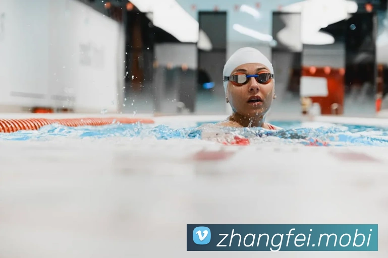 云开体育app官网入口登录网页版发展历程